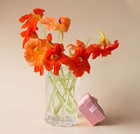Vase with nasturtium flowers and gift box on neutral background.の写真素材