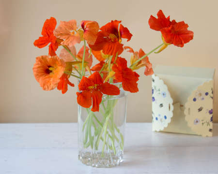 Vase with nasturtium flowers and gift box on neutral background.の写真素材