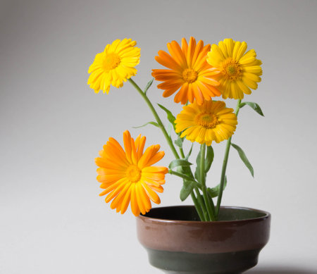 Bouquet of marigold flowers in vase. Elegant arrangement of orange and yellow garden flowers on neutral background.の写真素材