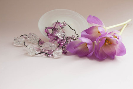 Beautiful fresh crocus flowers. Elegant purple flowers decoration with necklace on pink background.の写真素材
