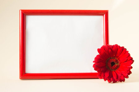 Empty photo frame with red gerbera daisy flower on pastel beige background. Picture frame mockup with flower, copy space.の写真素材