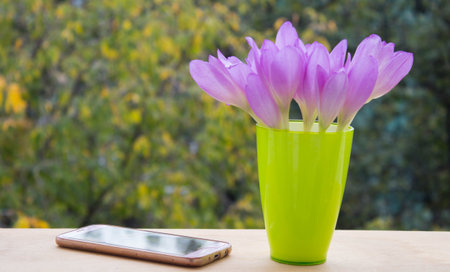 Crocus flowers bouquet in a glass vase with smartphone on the background of nature.の写真素材