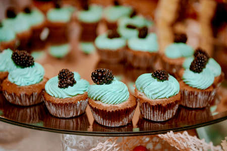 cupcakes Tiffany color  with delicious cream and berryの写真素材