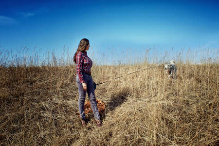Siberian Husky Utah playing with young beautiful girlの写真素材