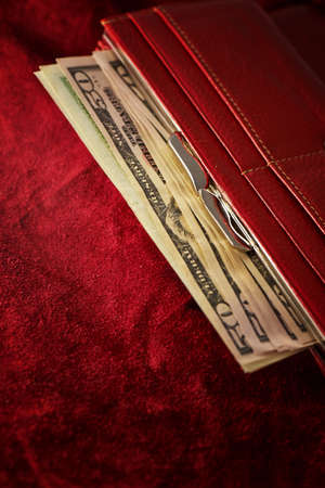 Money in female red leather purse isolated on white background