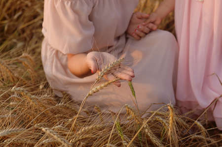 Woman's hand touching wheat stalk. Golden light. Peach dressの写真素材