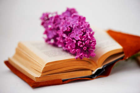 Comprehensive book, on the pages of purple lilacの写真素材