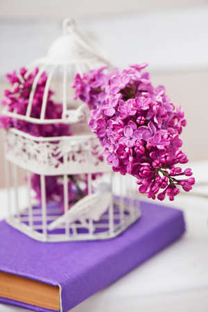 Beautiful lilac flowers in birdcage on pink backgroundの写真素材