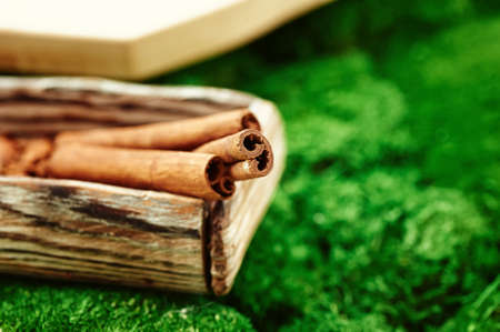 Cinnamon in a wooden box, on the background of lush green Dutch moss. Closeの写真素材