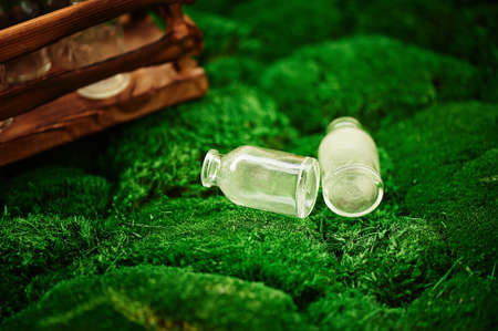 Dusty little glass bubbles of transparent glass on a background of lush Dutch mossの写真素材