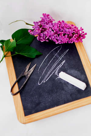 Wooden slate with chalk and old vintage scissors. Lilac purpleの写真素材