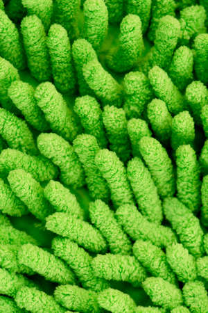 Texture green new soft microfiber. Macro backgroundの写真素材