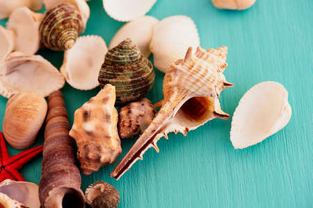 Seashells on wooden turquoise background. Close. Holiday and vacationの写真素材