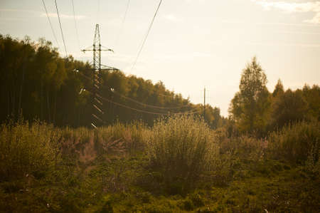 rays of setting sun cut through spruce power linesの写真素材