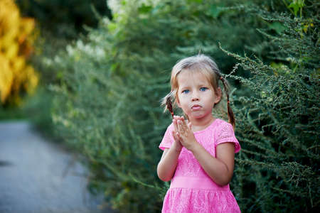 Beautiful blue-eyed girl with two pigtails pouted. Whimsの写真素材