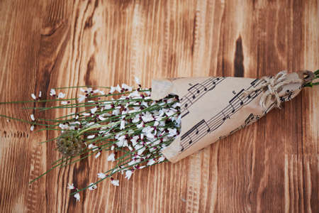 Scabious in the form of spines. Macro photography on a neutral light background.の写真素材