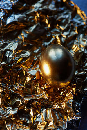 The Golden egg , a symbol of wealth and investment, rests on the foil. Brilliant pictureの写真素材