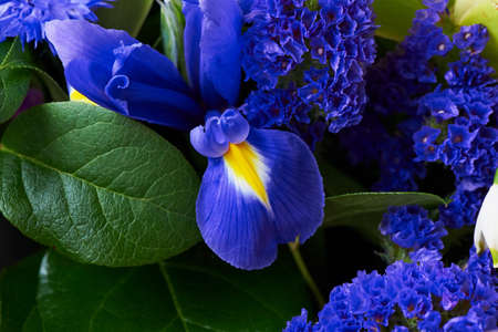 Bouquet of blue irises with Salal and painted willow.Closeの写真素材