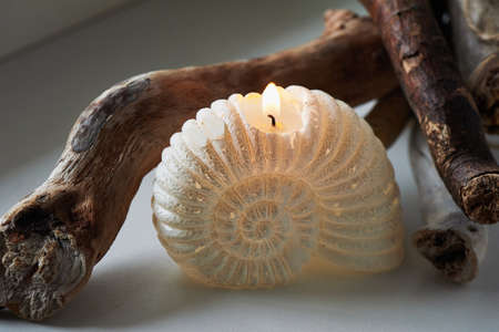 Burning candle in the form of a shell, and sticks of driftwood, the salty,collected on the sea shoreの写真素材