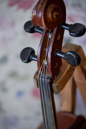 Grif old brown violin. Be on the bright background Wallpaper. Close