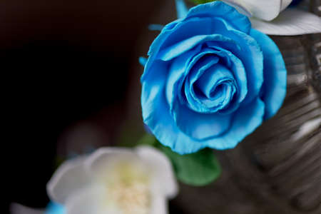 a little rim with delicate berries and roses, handmade, suede plastic and cold porcelain.の写真素材