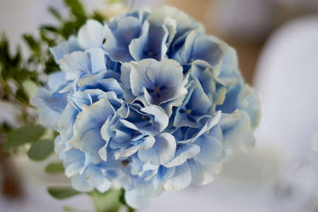 Stylish, fashionable wedding arch ceremony decorated with blue and white different flowers. Floral...
