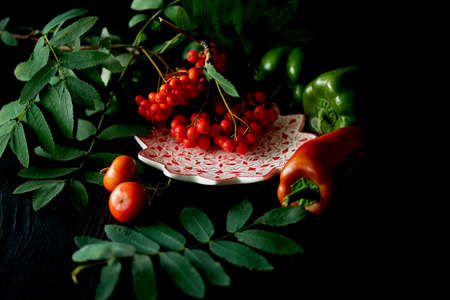Useful antioxidant rosehip and lying on a platter on a dark background. Framed in ash , red and green . Healthy eating during deficiencyの写真素材