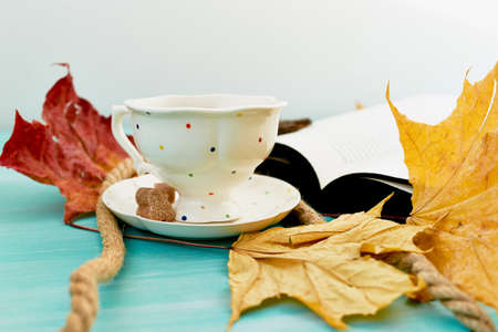 Cup of tea next to the book in the autumn leaves. Education and comfortの写真素材