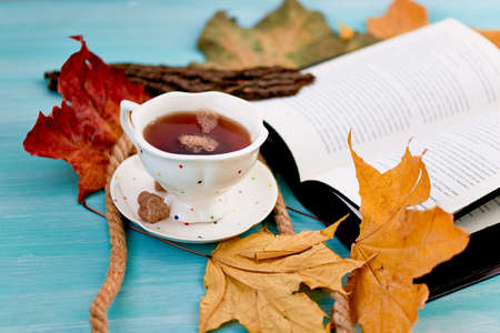 Cup of tea next to the book in the autumn leaves. Education and comfortの写真素材
