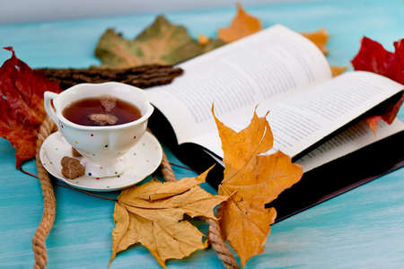 Cup of tea next to the book in the autumn leaves. Education and comfort
