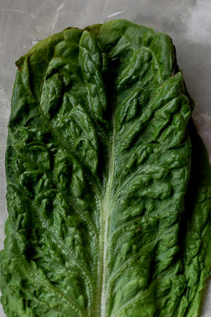 Fresh and beautiful textured lettuce leaf on grey concrete background. Healthy dietの写真素材