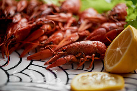 Boiled crawfish are on the dish with interesting ornament. Fresh salad. Nutritious and delicious dinnerの写真素材