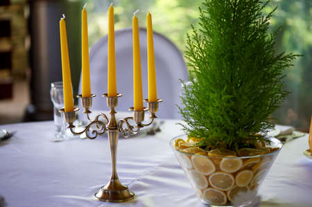 Cypress in a vase decorated with lemons. Fresh and juicy combination. Table decoration at the...