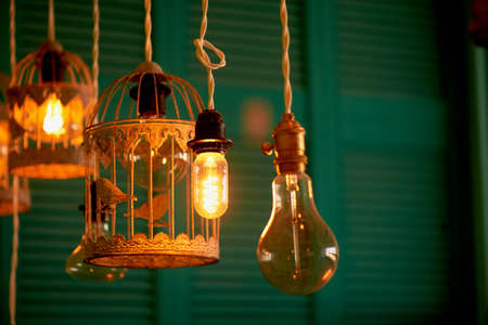 Bulbs Erickson suspended with the cells with the decoration bird. Yellow warm lamp lightの写真素材