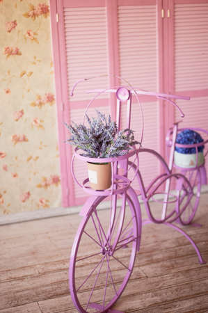Pink decorative bike on pink background. Flower Wallpapersの写真素材