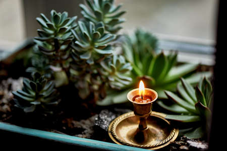 The candle burns in a small brass candlestick , among the green of the succulents. Macro. Feeling of warmth and comfort. Prayer, gratitudeの写真素材