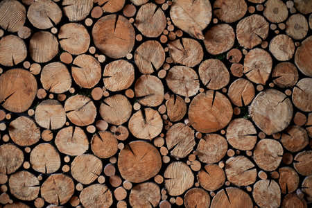 Texture. Panels of wood cuts of different diameters. Eco designの写真素材