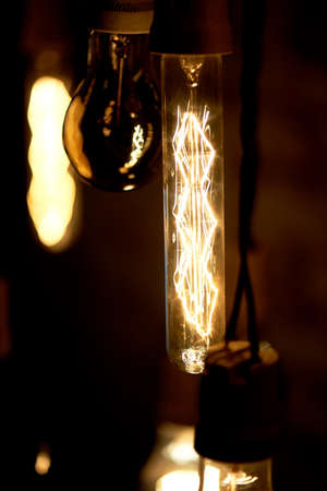 Bulbs Erickson suspended with the cells with the decoration bird. Yellow warm lamp lightの写真素材