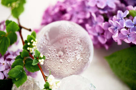 Crystal ball with drops of moisture around fresh lilac. Freshness and beauty.の写真素材
