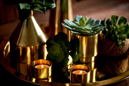 Cozy decor. Gold , burning candles Golden vessels succulentsの写真素材