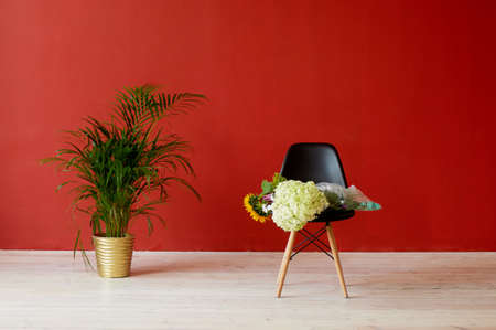 A palm tree in a tub stands against the red wall. Minimalism style in the interior. Bright...