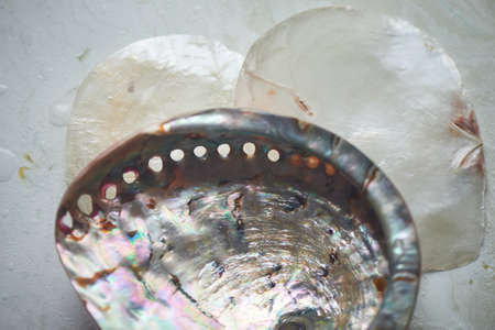 Sea collection on grey marble background.