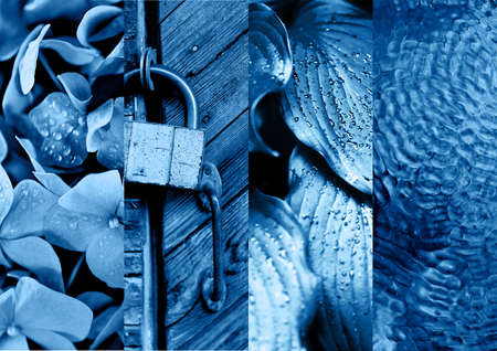 Collage in color 2020 classic blue. Trend. Macro details