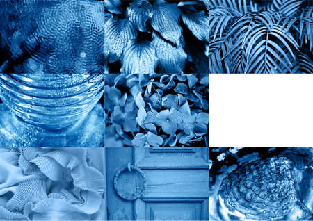 Collage in color 2020 classic blue. Trend. Macro detailsの写真素材