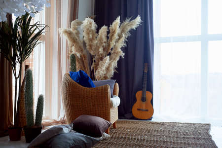 A chair and a rug made of rattan. Natural material. Pampas grass in a vase. Eco design.