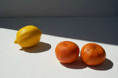 Tangerines and lemon, vitamins. Bright colors. Vitaminization of the body.の写真素材