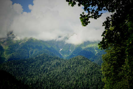 Clouds in the green peaks of the mountains. Abkhazia, the country of the soulの写真素材
