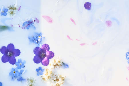 Wildflowers in milky water with paint streaks. Purple and blue. Abstraction, background image. Tenderness and weightlessness.の写真素材