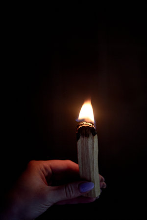 Palo santo wand. Fumigation of the room before meditation, purification of the space