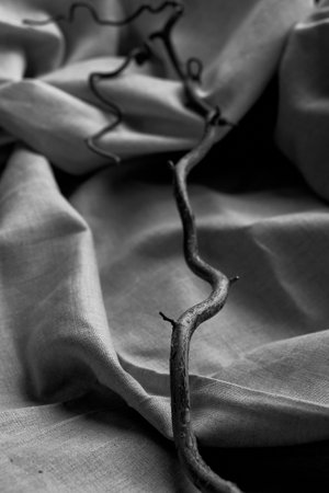 Wabi sabi. Japanese aesthetics. A beautifully shaped stick on a natural canvas